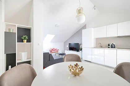 Apartments Mila - Afrodita apartment