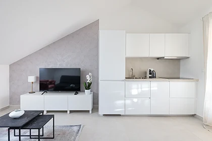 Apartments Mila - Afrodita apartment