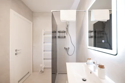 Apartments Mila - Apolon Deluxe room with bathroom and balcony