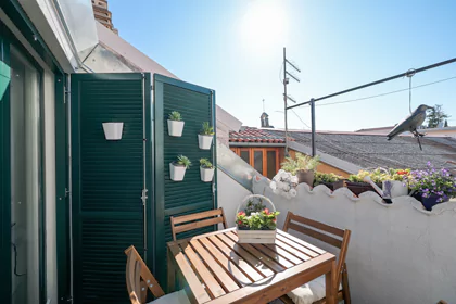 Apartmani Mila - Kuća dide Mate